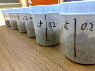 Mostres sòl experiment