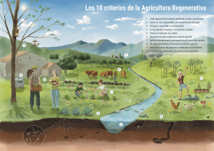 Illustration of regenerative agriculture principles, showing a farm landscape.