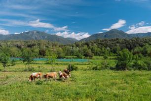 Planeses, agricultura regenerativa
