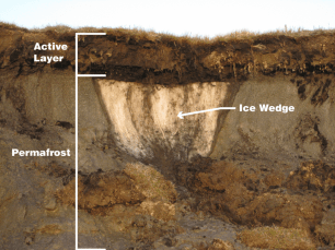 Cross-section showing permafrost, active layer, and ice wedge.
