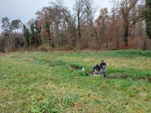 Two people in a stream collecting samples in a field, trees in the background.