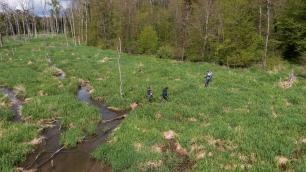 People walking in tall grass near a forest.