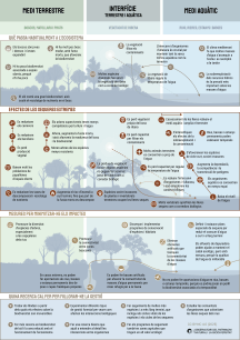 Diagram comparing terrestrial, intermediate, and aquatic environments.
