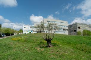 Modern building on a grassy hill with a tree in the foreground.