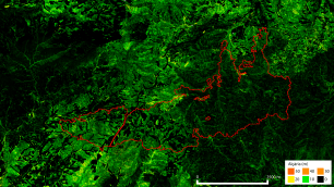 Vegetation map, area highlighted with a red line.