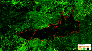Heat map of a burnt forest outlined in red.