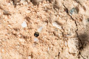 Close-up of a hole in sand with small rocks and cracks.