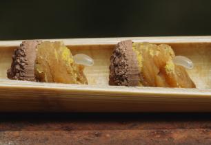 Close-up of bee larvae in a bamboo tube; showing pollen and mud.