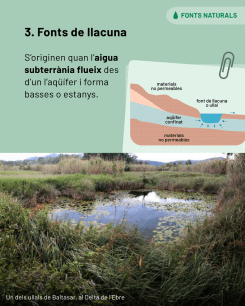 Fonts de llacuna