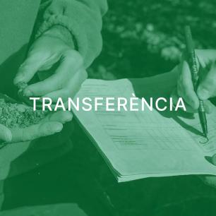 transferència