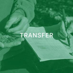 Transfer