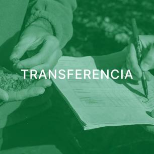Transferencia