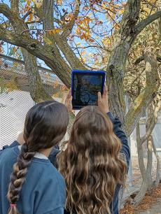 Alumnas de instituto realizan el seguimiento fenológico de la vegetación de su instituto. Fuente: RitmeNatura