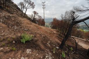 Les zones amb pendent tenen més risc d'erosió. Imatge: Galdric Mossoll