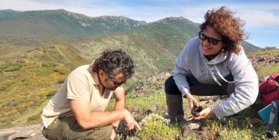 investigadores_saxifrada_fragosoi