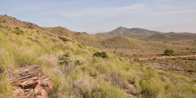 Hilly landscape with grass and bushes under a clear sky.