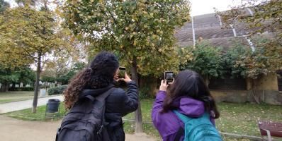 Dos nenes fent fotografies a un arbre de la Ciutadella