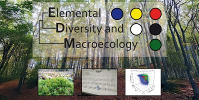 Forest landscape with scientific diagrams, text and coloured circles.
