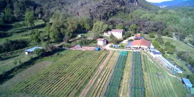Planeses 1. jpg: Finca Planeses (Girona), on es probaran les tècniques d'agricultura del carboni a la zona pilot de Catalunya