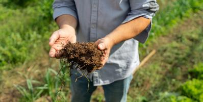 Soil in planeses farm