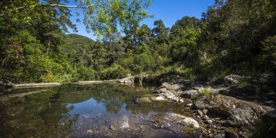 Paratge natural de Poblet
